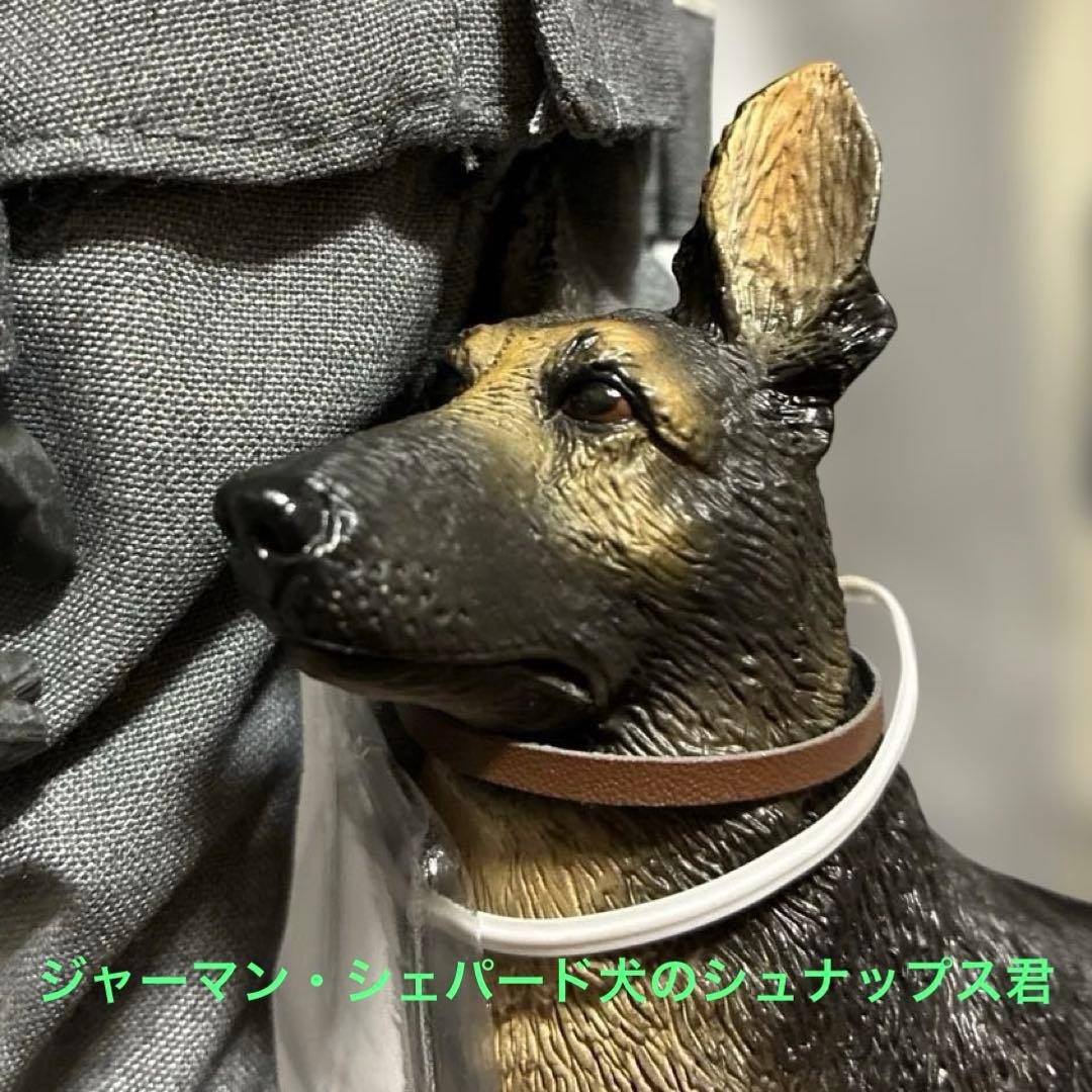 ドラゴンモデルズ1/6ドイツ空軍捕虜収容所ジークフリート・グロシェケ曹長