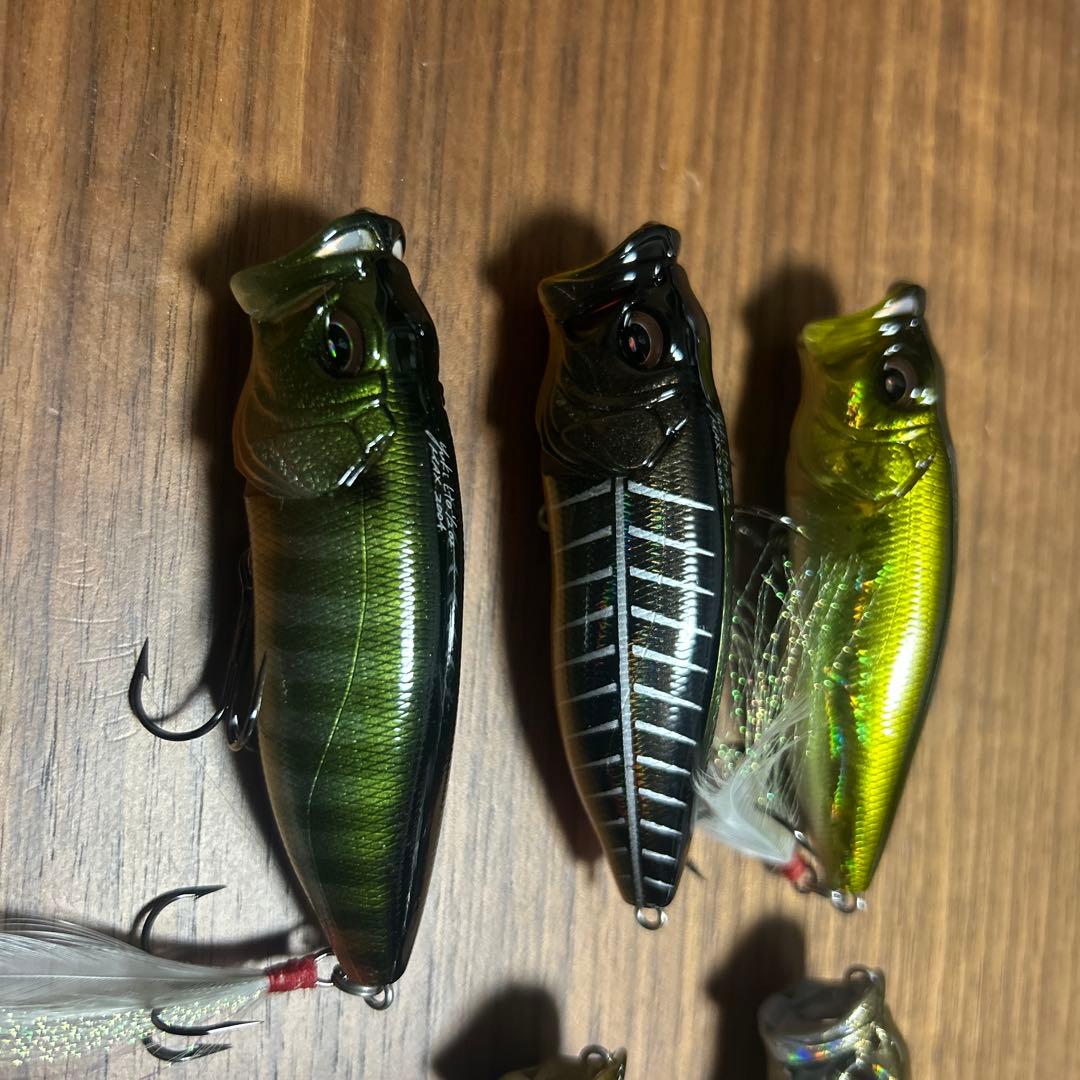 メガバス　POP MAX セット　megabass ポップマックス
