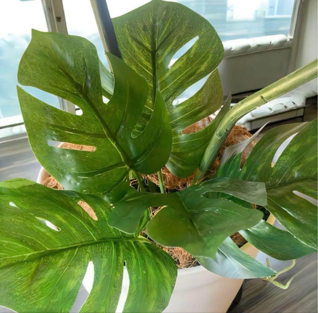 光触媒　人工観葉植物　ウォールグリーン　フェイクグリーン　モンステラ特大84