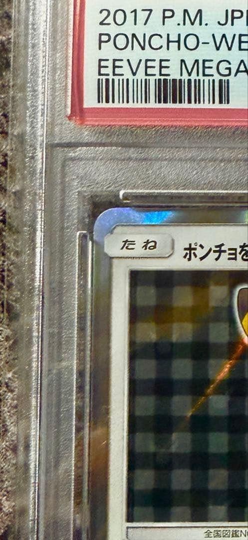 【ブラッキー】ポンチョを着たイーブイ