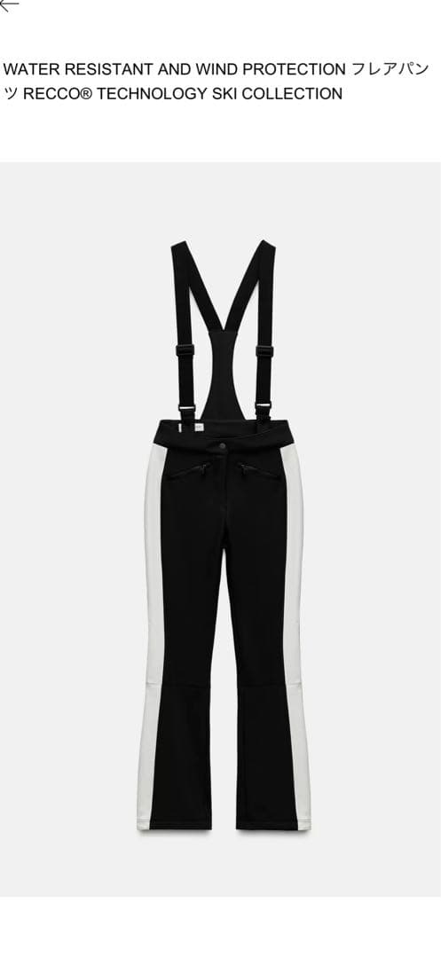 ZARA スキー