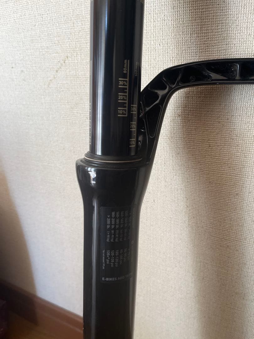 RockShox SID Brain 100 カーボンコラム