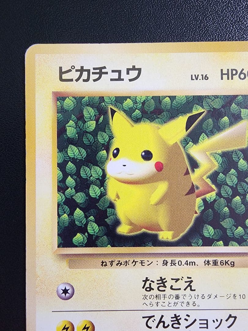 旧裏 ピカチュウ ken sugimori