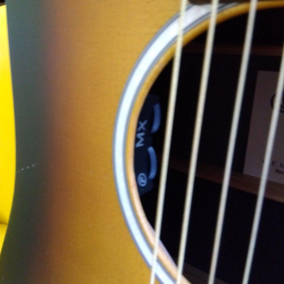 ギター Martin D-X2e