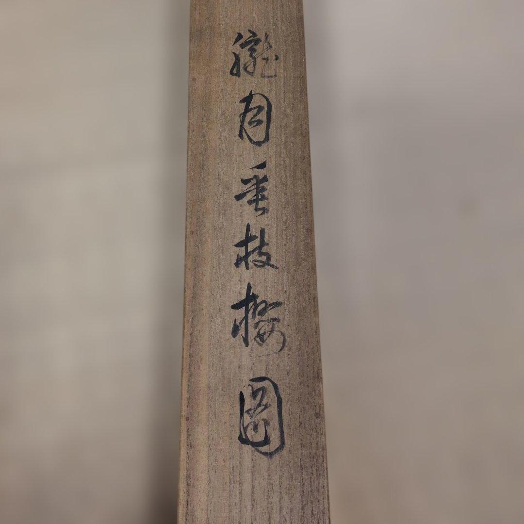 今井景樹　桜　掛軸
