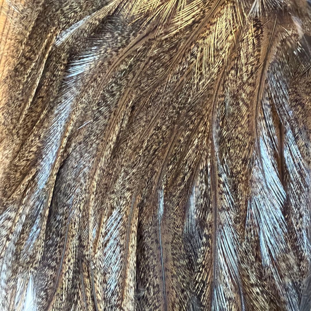 ルアー・フライ Whiting Coq de Leon Bronze Medium