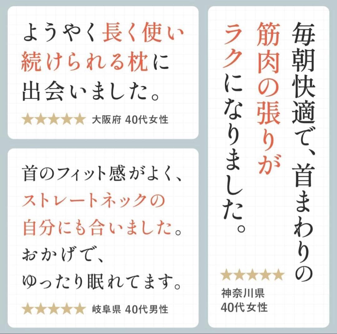 CALQS ダブル枕PLUS パールグレー(冷感素材) SurvaQ サバキュー