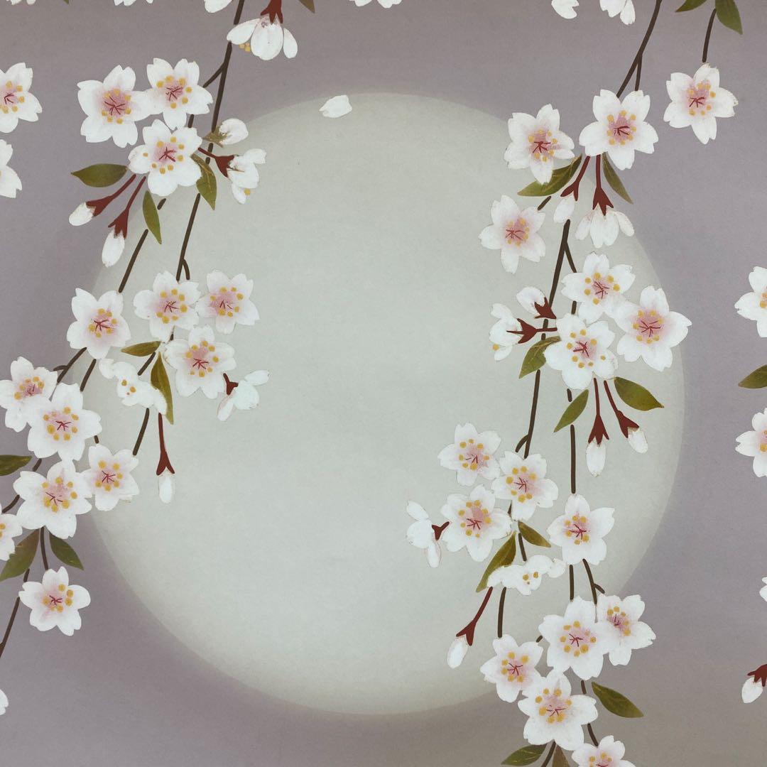 美品 掛け軸 緒方葉水作 夜桜図 共箱 縁起物 花見