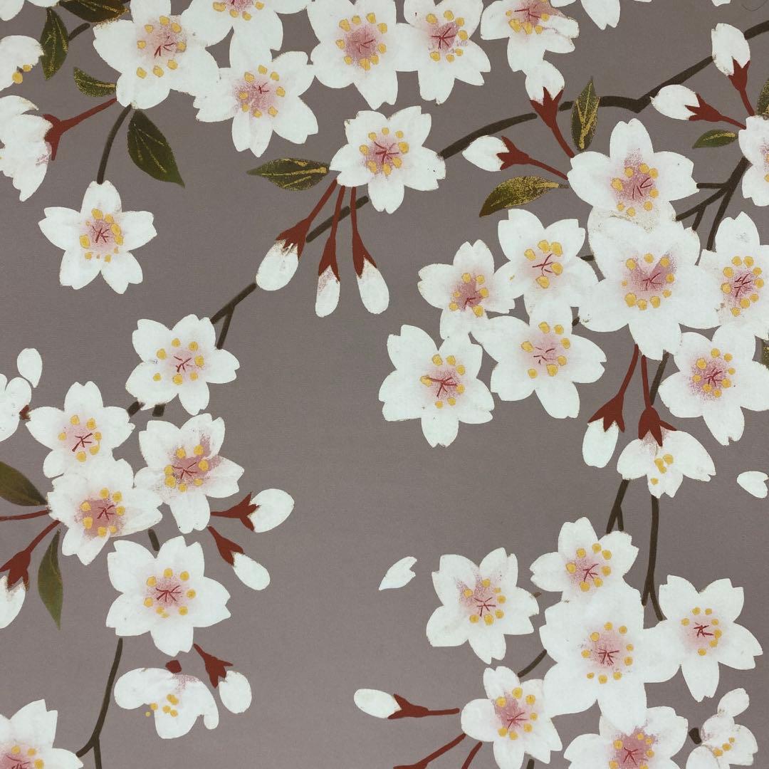 美品 掛け軸 緒方葉水作 夜桜図 共箱 縁起物 花見