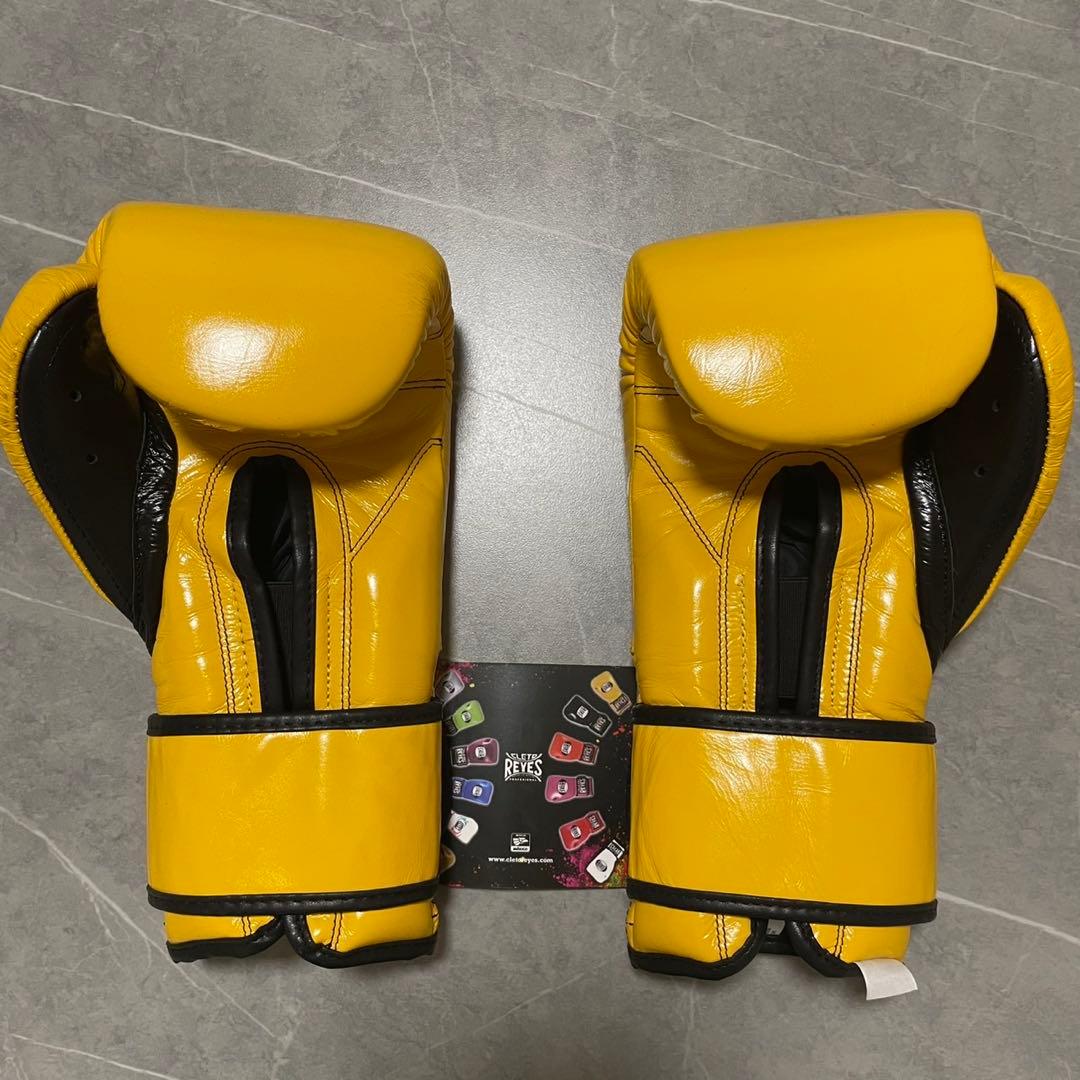 レイジェス(reyes) スパーリング用グローブ 14オンス