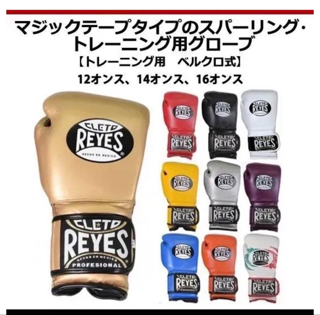 レイジェス(reyes) スパーリング用グローブ 14オンス