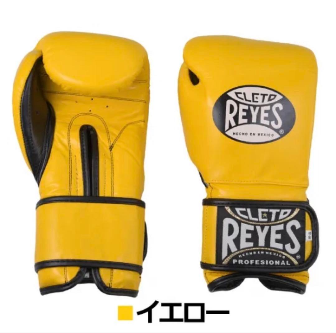 レイジェス(reyes) スパーリング用グローブ 14オンス