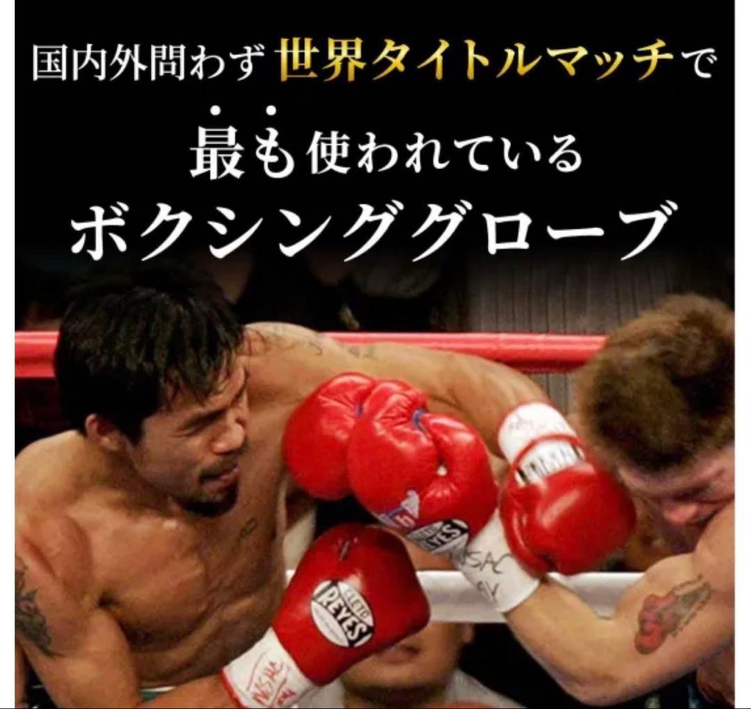 レイジェス(reyes) スパーリング用グローブ 14オンス