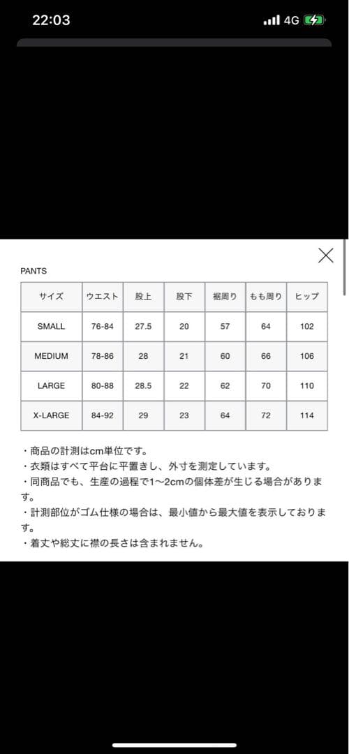 ウェア FCRB 24ss paperboy GAME SHORTS BLACK S