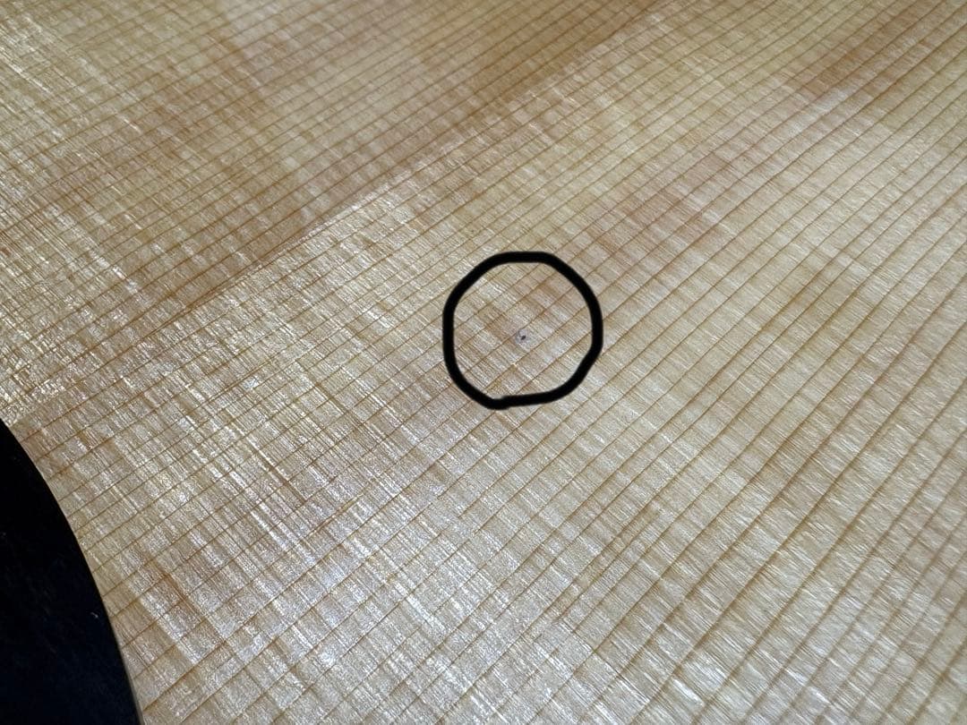 Taylor 214ce Plus ハードケース付き