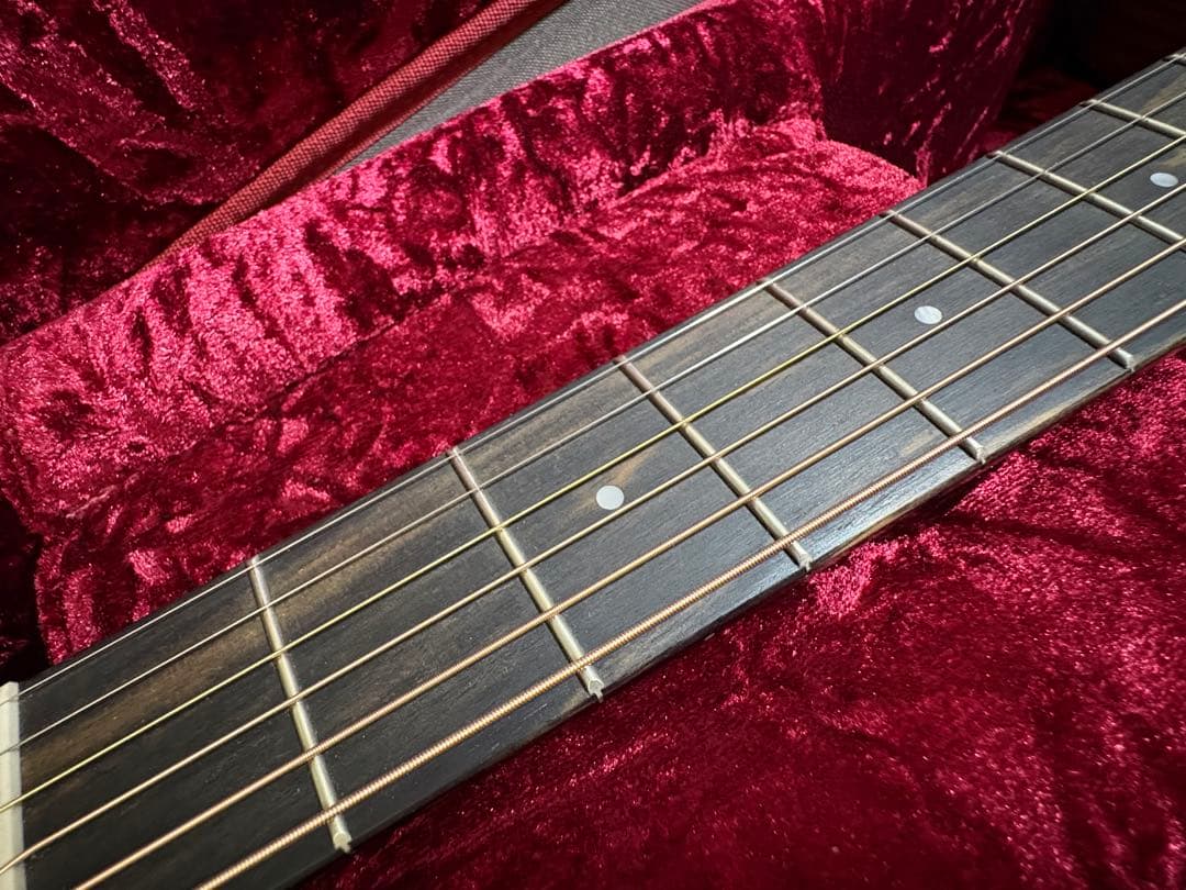 Taylor 214ce Plus ハードケース付き