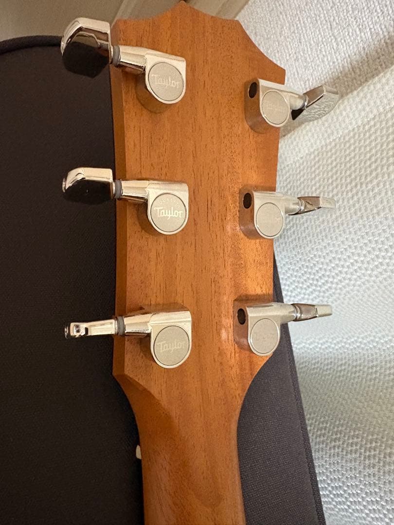 Taylor 214ce Plus ハードケース付き