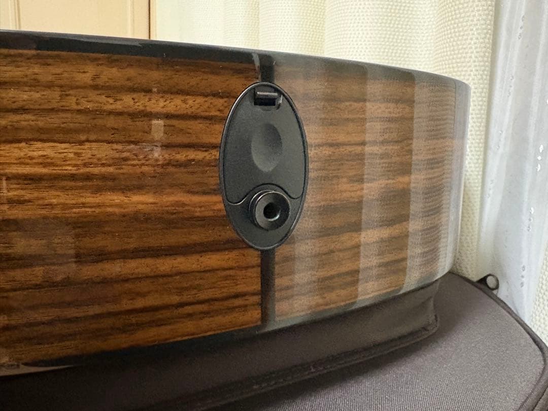 Taylor 214ce Plus ハードケース付き