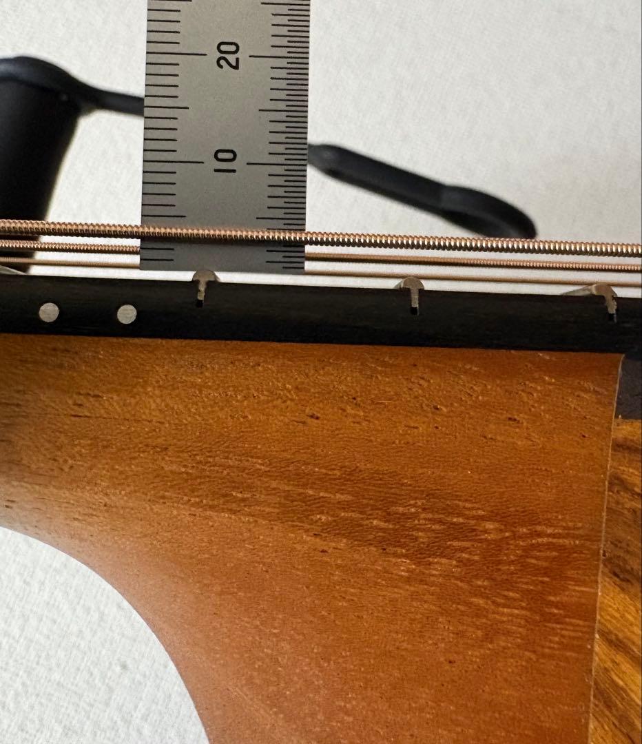 Taylor 214ce Plus ハードケース付き