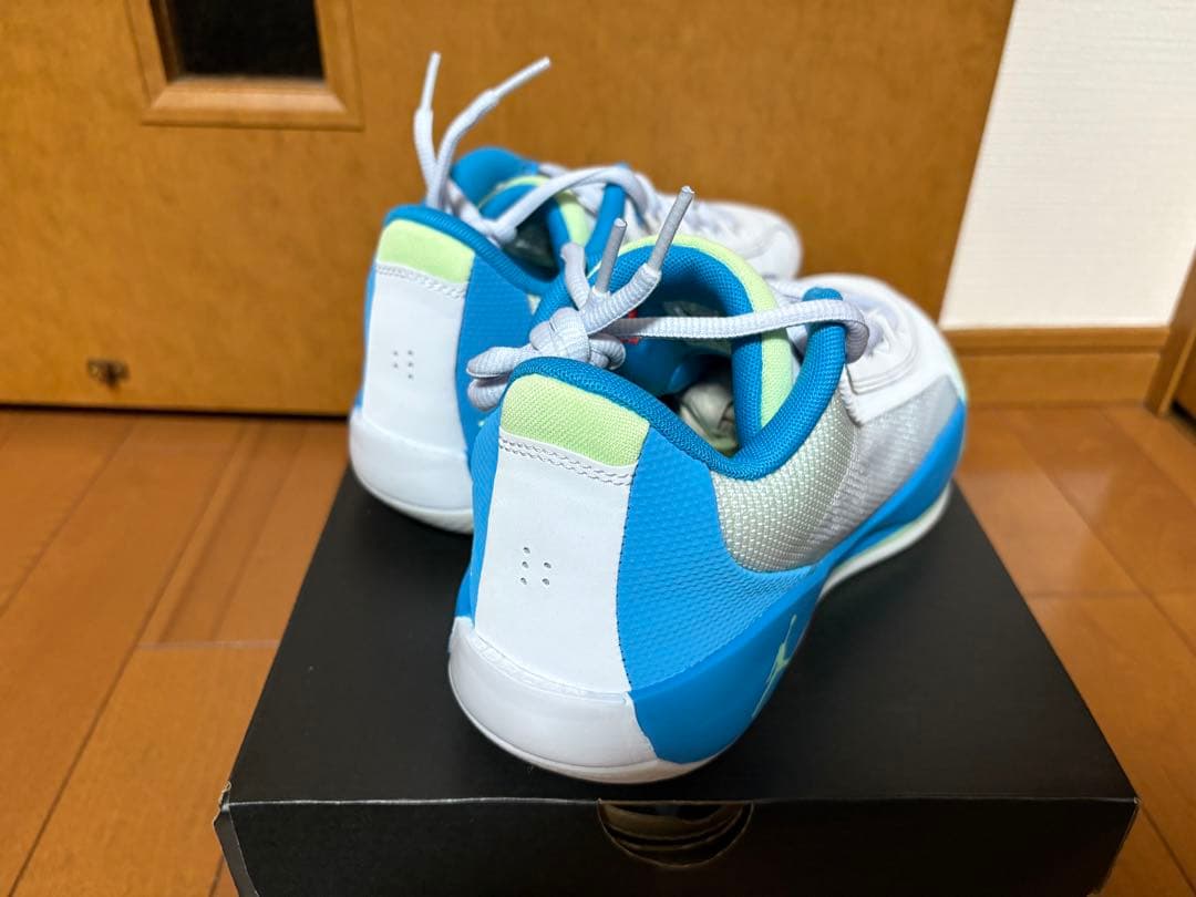 シューズ(男性用) JORDAN LUKA .77 PF 27.0cm