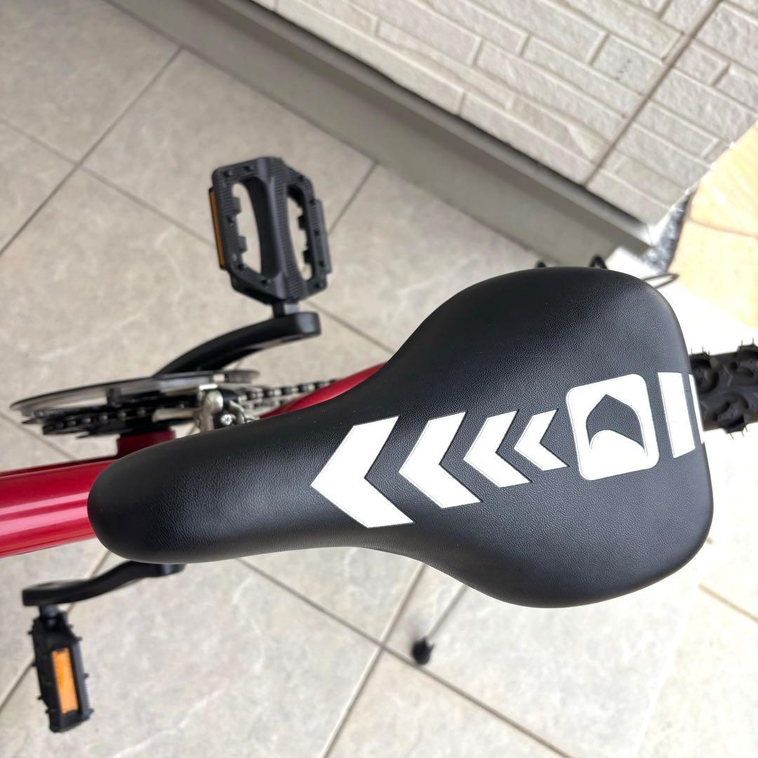 極美品 LOUIS GARNEAU キッズバイク ６変速付き j22 オフロード