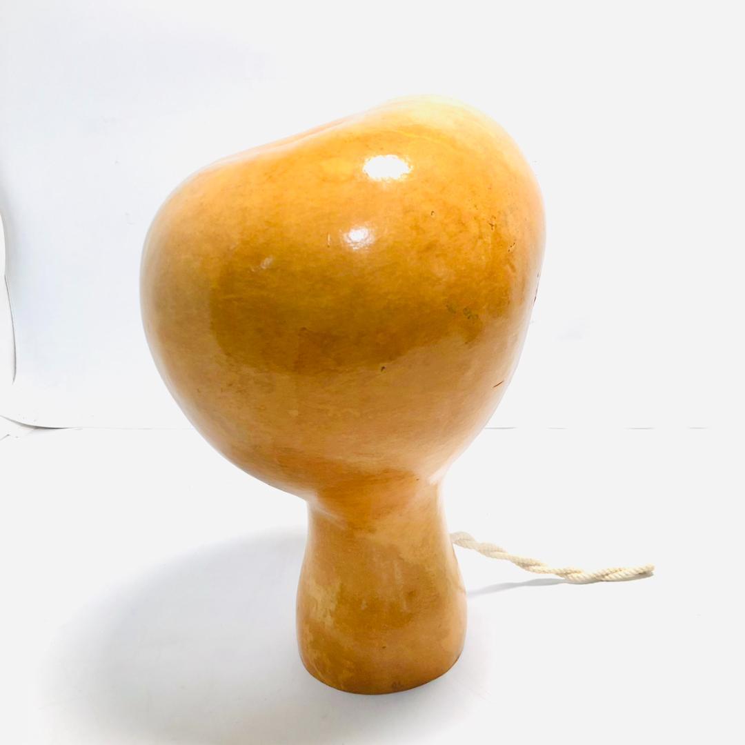 フラダンス イプ フラダンス用 楽器