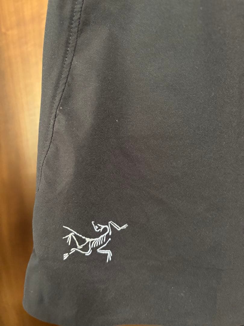 Arc'teryx メンズ ランニングショーツ M 黒 ショートパンツ