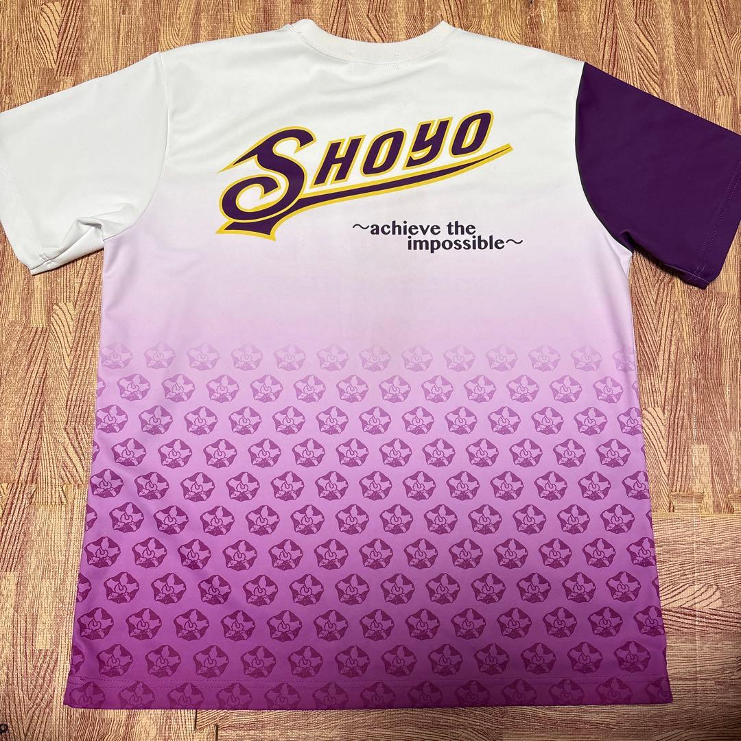 昇陽高校バレーボールTシャツ