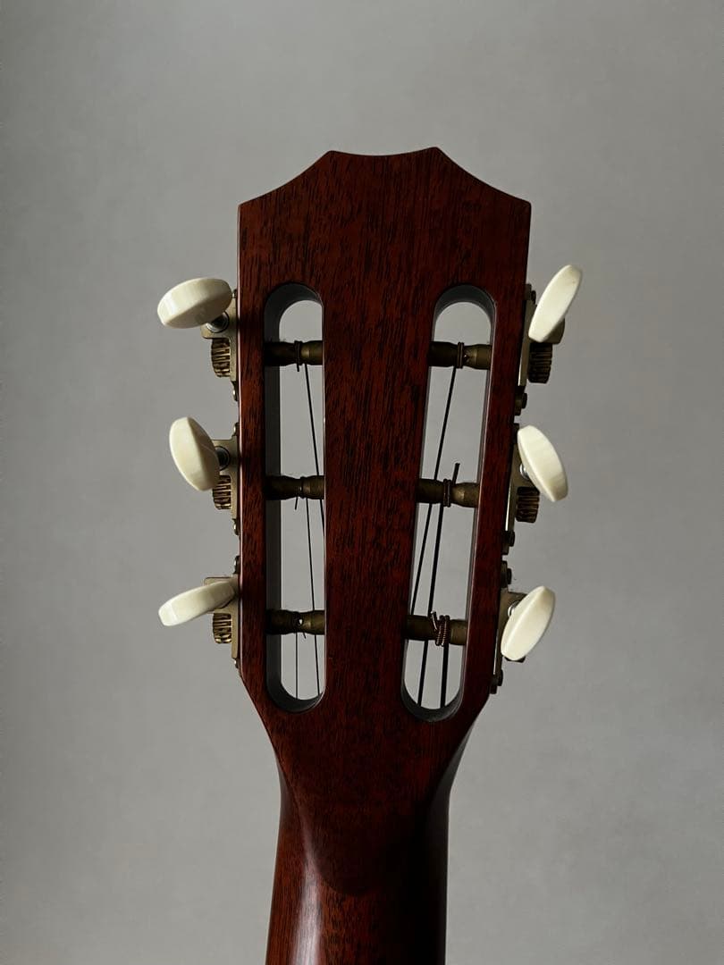 Taylor 510e ES2 アコースティックギター ハードケース付