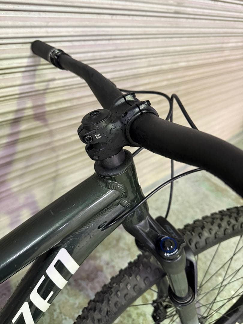 Specialized Rockhopper 29インチ