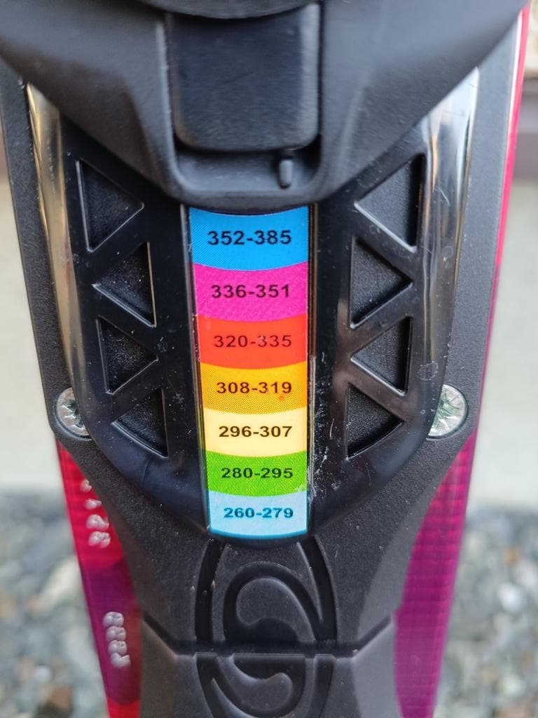 ＳＡＬＯＭＯＮ　ＳＮＯＷＢＬＡＤＥ　希少