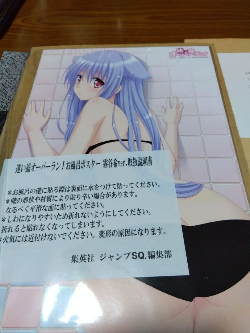 1*r様 迷い猫オーバーラン! 霧谷希 お風呂ポスター