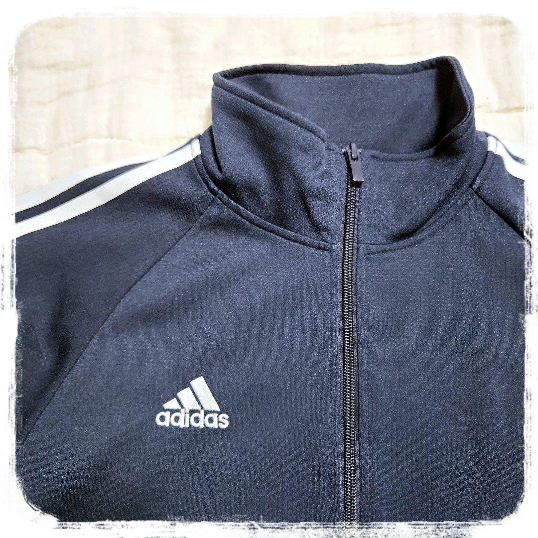 ■美品■ジャージ上下■セットアップ■あのちゃん■常田大希
