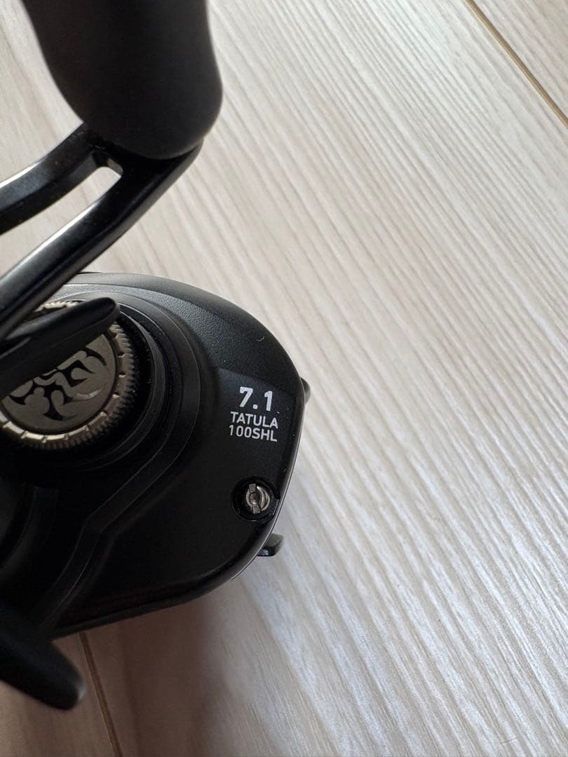 リール DAIWA 19TATULA TW 100SHL