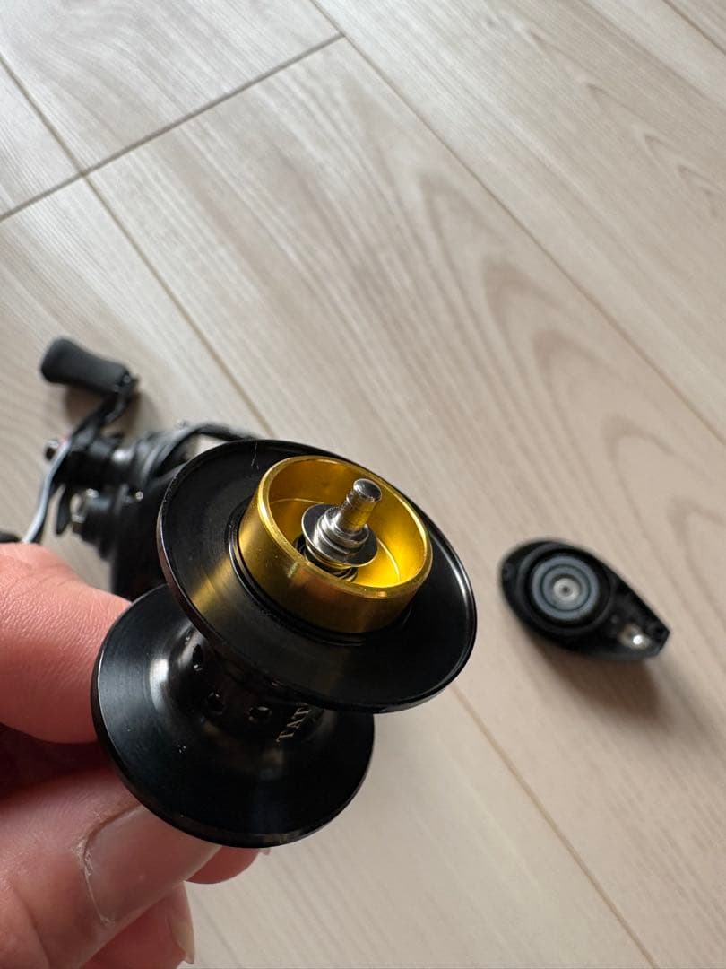 リール DAIWA 19TATULA TW 100SHL