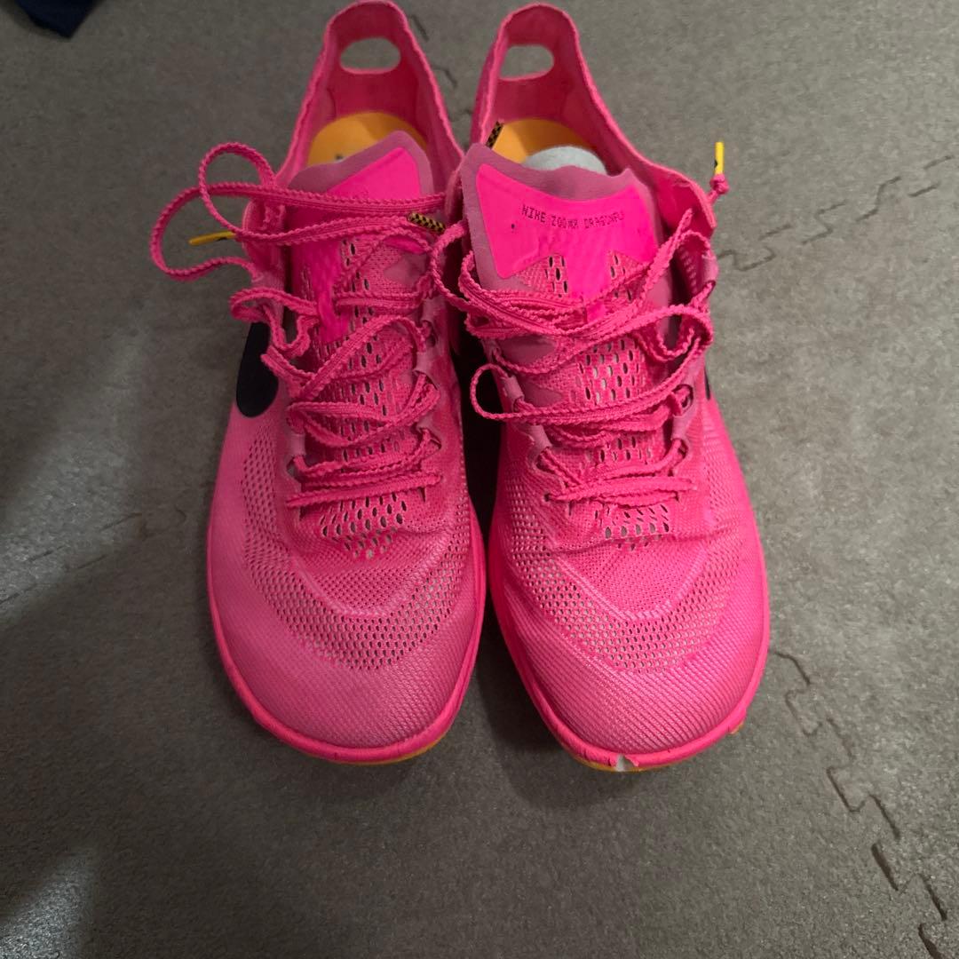 NIKEドラゴンフライ27.0