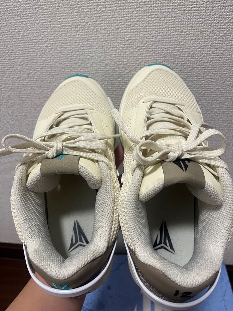 シューズ(男性用) Nike Ja1 EP