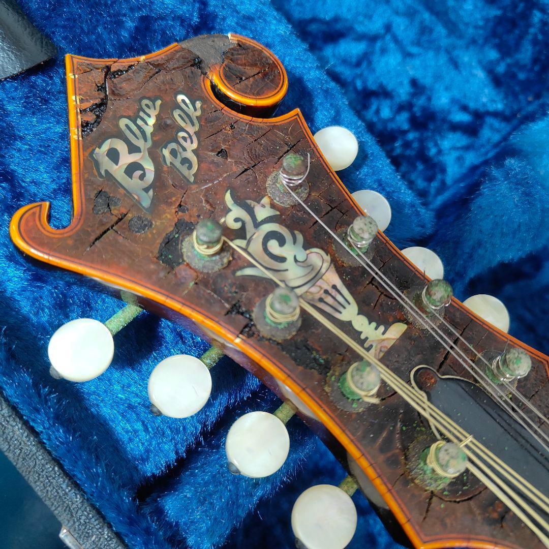BLUE BELL F-10 マンドリン ブルーベル