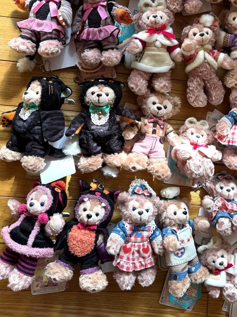 TDS ダッフィー　シェリーメイ　ぬいぐるみバッジ　ポシェット　新品　ディズニー