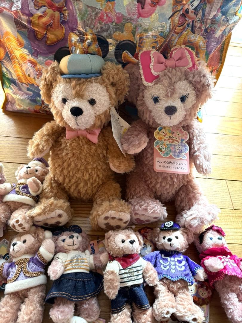 TDS ダッフィー　シェリーメイ　ぬいぐるみバッジ　ポシェット　新品　ディズニー