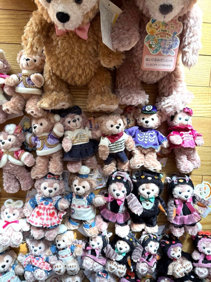 TDS ダッフィー　シェリーメイ　ぬいぐるみバッジ　ポシェット　新品　ディズニー