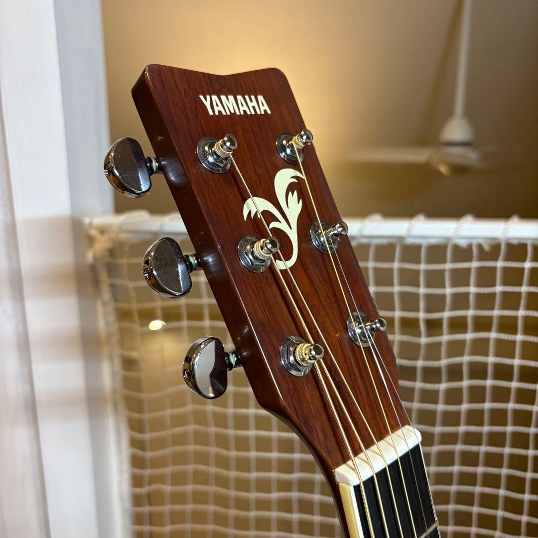 【大人気モデル】YAMAHA FS-325 アコースティックギター