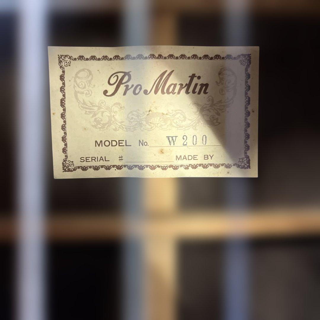 マーティン 縦ロゴ W-200 Pro Martin ハードケース付き