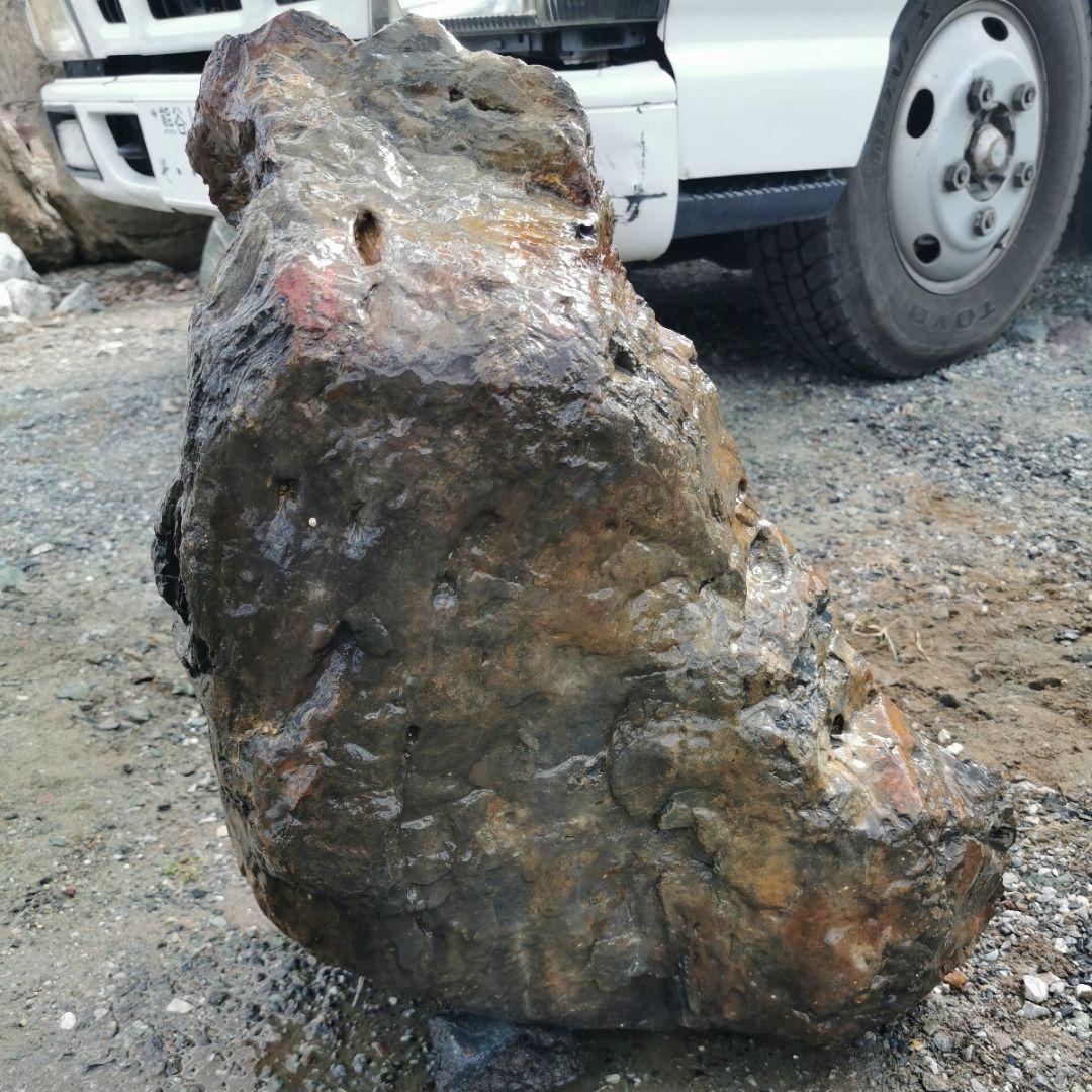 秋田産　珪化木　57キロ　木化石　庭石　鑑賞石　石　庭　ガーデニング　置物