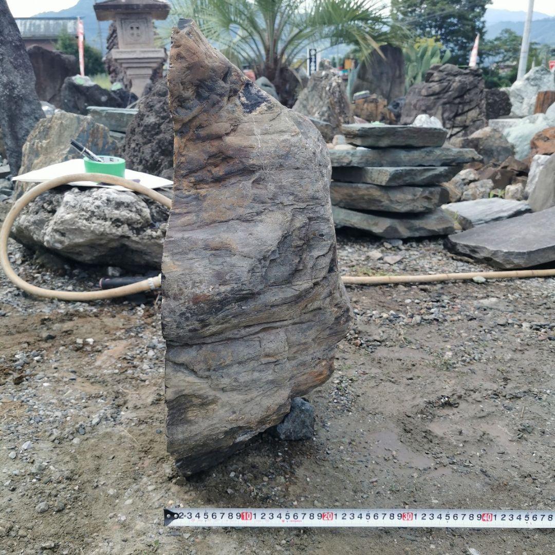 秋田産　珪化木　57キロ　木化石　庭石　鑑賞石　石　庭　ガーデニング　置物