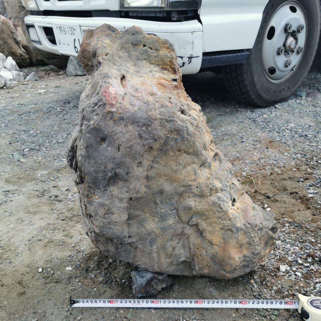 秋田産　珪化木　57キロ　木化石　庭石　鑑賞石　石　庭　ガーデニング　置物