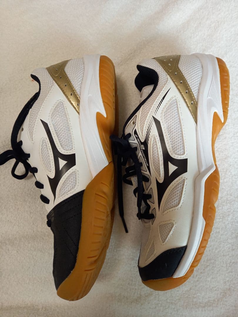 本日価格✨『美品✨』Mizuno バレーボールシューズ 24.5