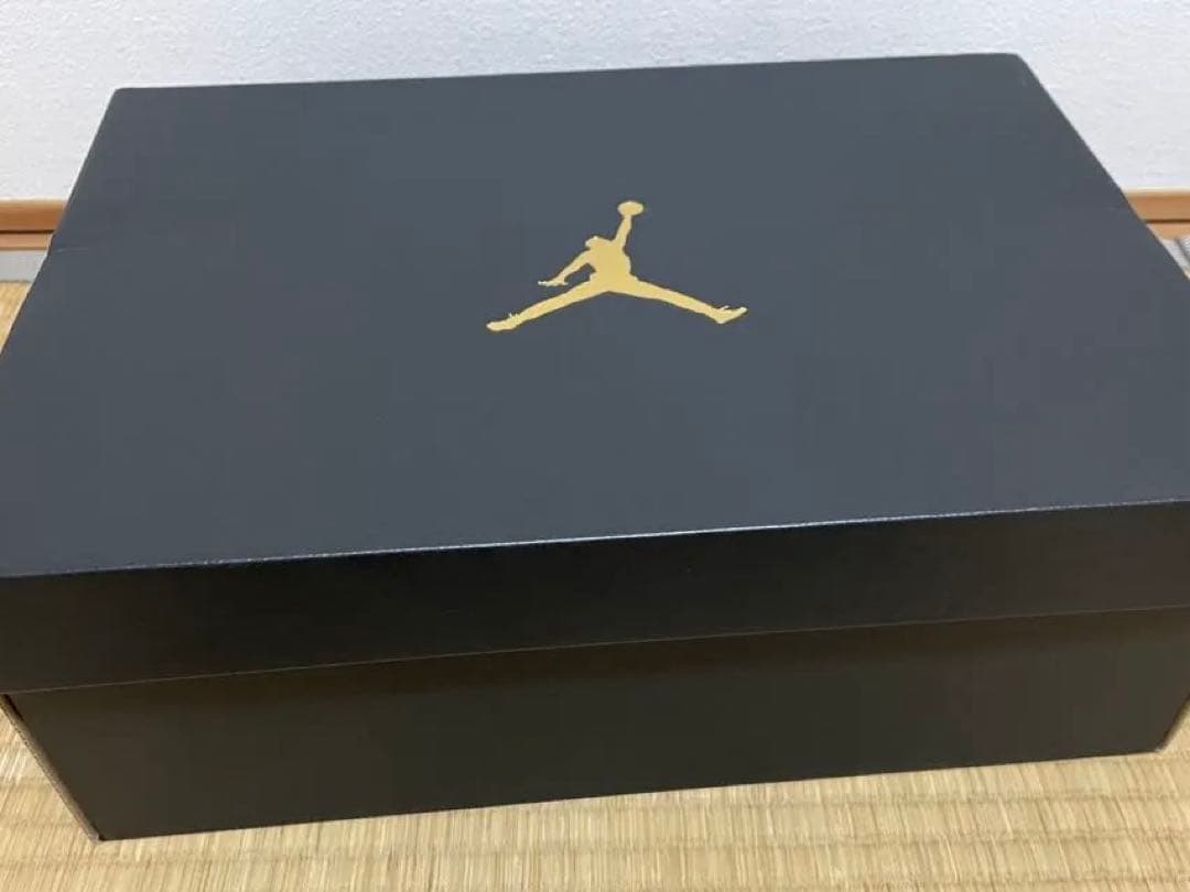 値下　未使用　AIR JORDAN 6 NRG 28.0cm ジョーダン　ゴルフ