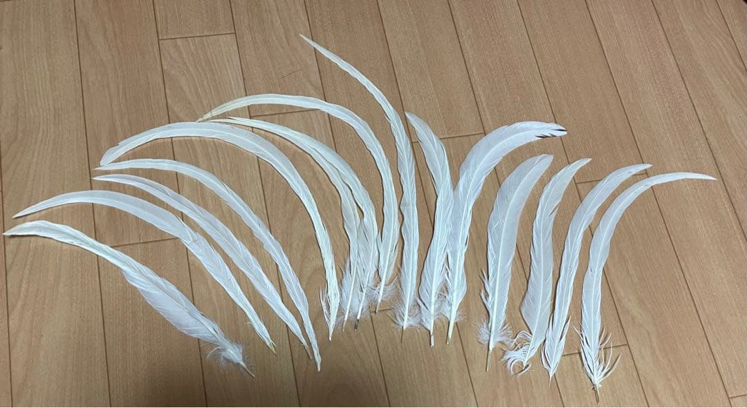 タヒチアンダンス　等　ダンス衣装用羽根（素材）セット　黒　赤　白