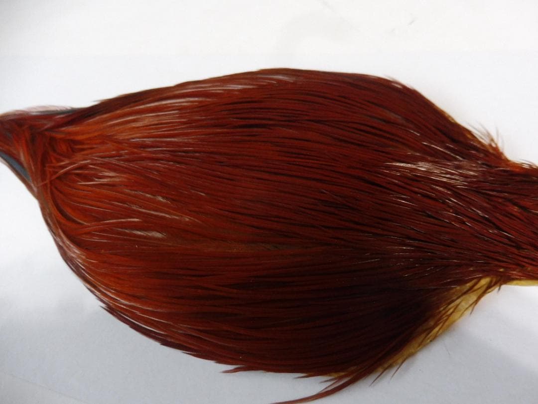 コックハックルケープ WHITING #1 ブラウン